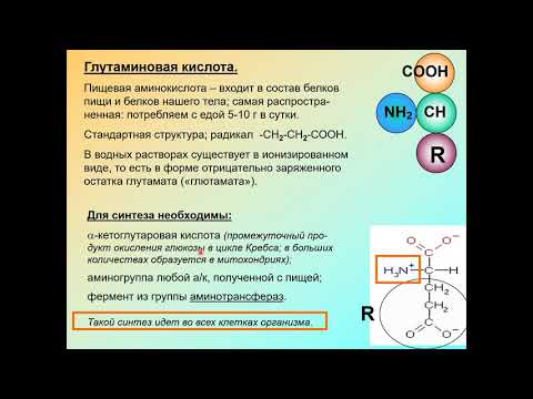 Дубынин В. А. - Химия мозга - Глутаминовая кислота и ГАМК