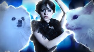 Cat Meow And Gabe The Dog, Sing-🎵Bloody Mary🎵  (Wednesday Dance) (Уэнсдей Танец)