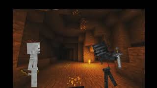 skeleton vs wither skeleton (dc2)