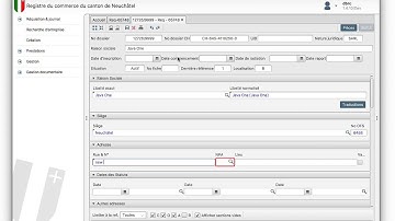 JavaFX: Business Registry
