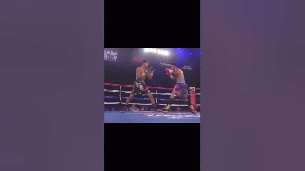 бокс усик марко хук