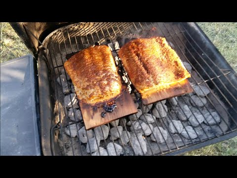 grilled-salmon-with-peach/avocado-salsa