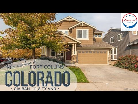 Video: Nơi mua sắm địa phương tốt nhất ở Colorado