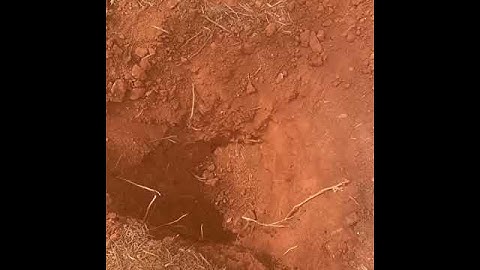 20" x-coils spiral for MINELAB GPZ7000