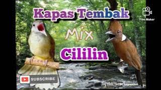 Kapas tembak fariasi terbaik mix Cililin panjang ,bikin mewah #adiCBC@CreatorBirdChanel