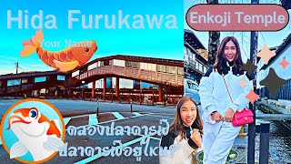 Hida Furukawa ปลาคารฟ์ในคลองน้ำใส สถานีรถไฟในการ์ตูน #japan #ฮิดะฟุรุคะว่า #hidafurukawa