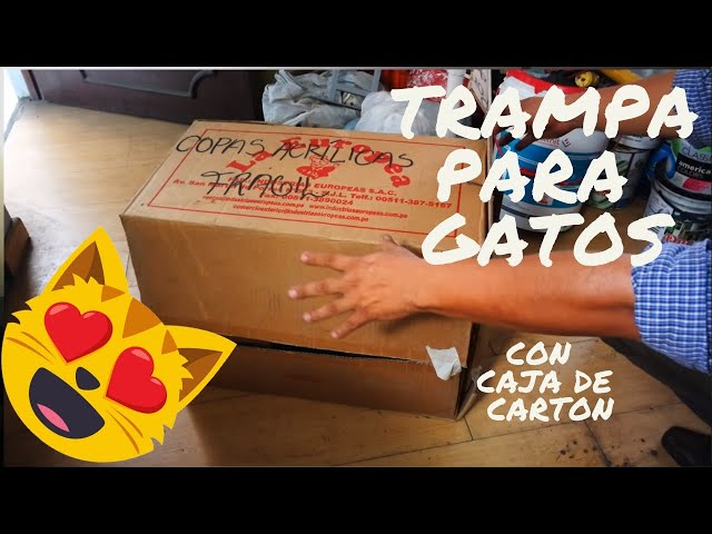 TRAMPA PARA GATOS😸(favor de hacer viral) 