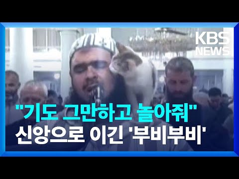 [글로벌K] 저녁 기도에 난입한 귀여운 불청객 / KBS  2023.04.08.