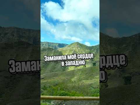 Заманила моё сердце в западню 🙄 #александрзакшевский #обманула #музыка #песня #шансон