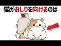 猫好き必見!【猫の雑学194選】99%の人が知らない驚きの豆知識