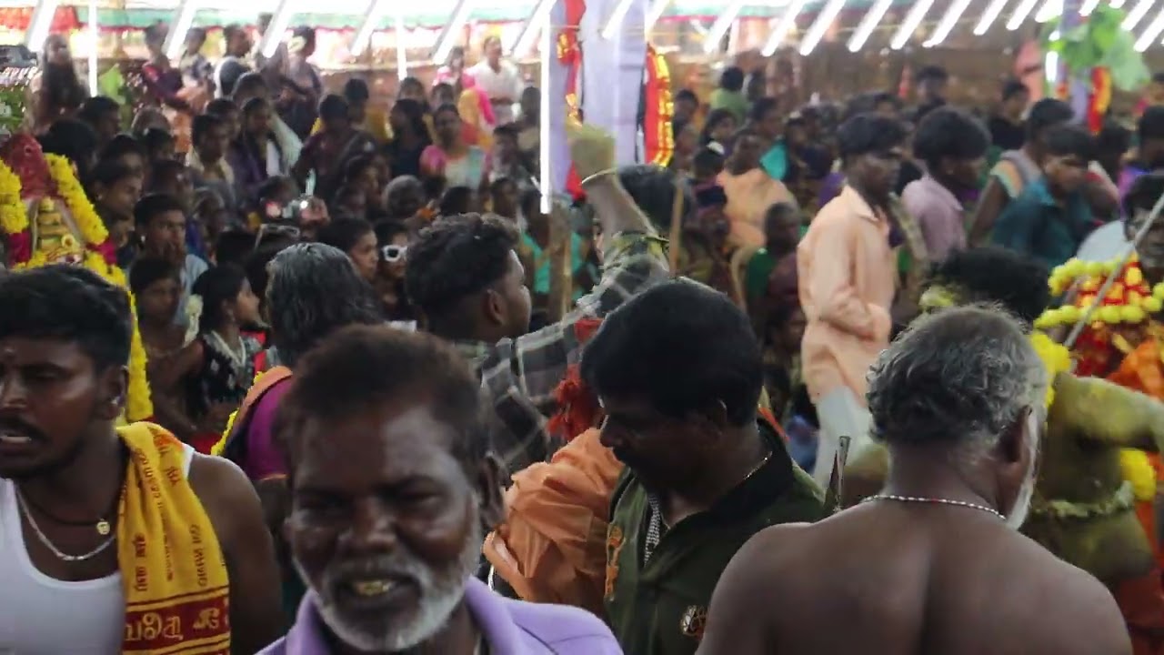 சிவகாமிபுரம் அருள்மிகு காசி முத்தாரம்மன் திருக்கோவில் கொடை விழா 2025...