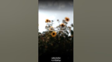 عبدالباسط عبدالصمد | سورة البقرة | آية ٤٢و ٤٣