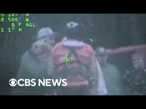 Watch the Coast Guard rescue a dog that fell off a cliff and reunite it with its owner