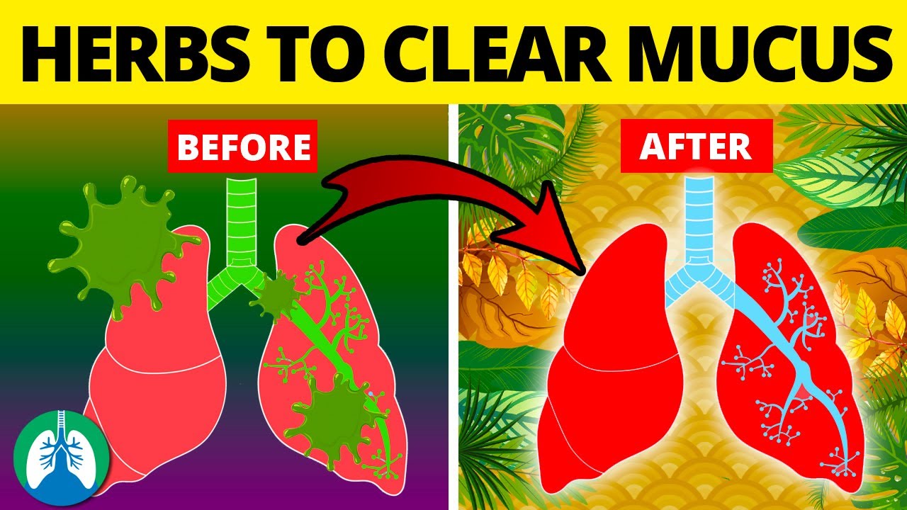 5 Herbs For Lung Health, Clearing Mucus, Copd, And Killing Viruses