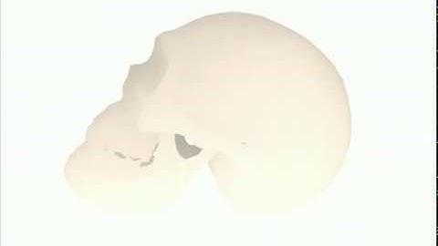 human skull;: an interactive javascript 3d model you can embed for free on your webpages