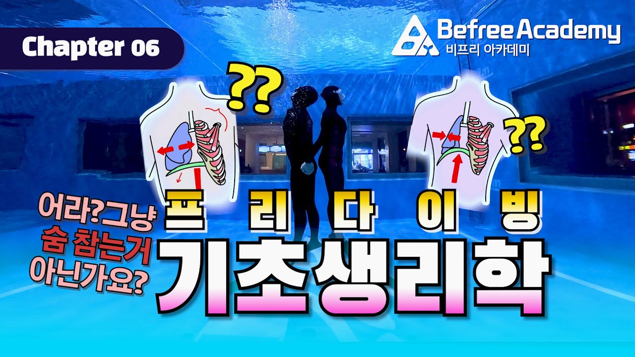 [BEFREE Academy] 프리다이빙 이론 교육 Chapter 06|어떻게 숨을 잘 참을까?🤔'기초생리학'에서 그 비밀을 찾아봐요#프리다이빙 #비프리 #프리다이빙교육