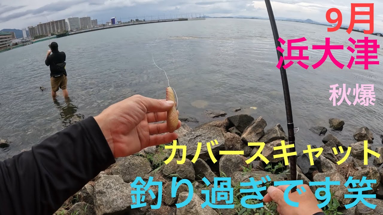 【バス釣り】カバースキャット❗️釣り過ぎです笑　琵琶湖