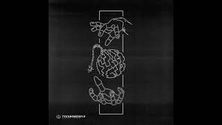 Download Lagu Vendex \u0026 BSLS - Sobs Of Souls [TWVA001] MP3