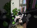 ちょっと生き物感があるロボットアーム