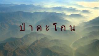 Video thumbnail of "แสงตะเกียง - มงคล อุทก"