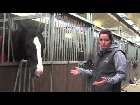 Video: Verminder Stalverveling Met Een Paar Best Practices En Belangrijke Paardenbenodigdheden
