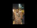 العندليب اسامة صلاح مصالح مصالح