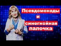 Псевдомонады и синегнойная палочка