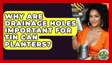Why Are Drainage Holes Important For Tin Can Planters? - The Upcycle Lab