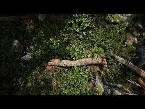 Flexible Auto Focus in UNITY SRP