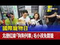 國際寵物日的活動