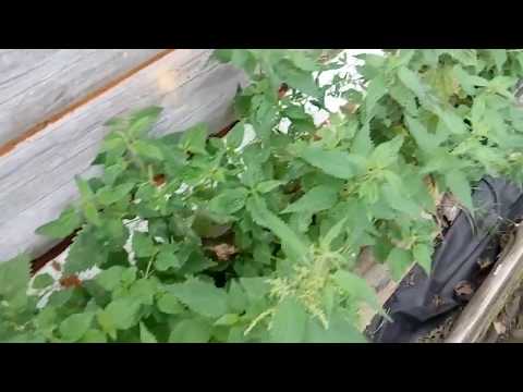 Монтажная пена через 14 лет.