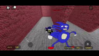 Roblox Sanic Chase Gameplay: Maze