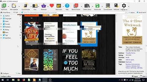 Calibre Ebook Manager - Edit book details displayed on the right panel