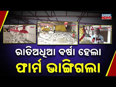 ରାତିଅଧିଆ ବର୍ଷା ହେଲା ଫାର୍ମ ଭାଙ୍ଗିଗଲା Odisha Heavy Rain | Farmer Says No Insurance Help