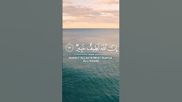 ألم تر أن الله أنزل من السماء ماء| القارئ عبد الله الخلف سورة الحج #قرآن