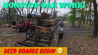 3000 BDF of Red Oak Gone/  Now the Real Work Begins