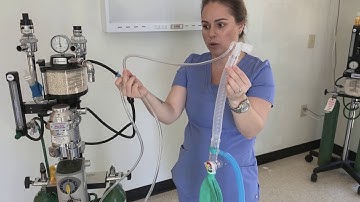 Anesthesia - Connecting a non-rebreathing system