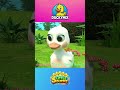 [ 1 MINUTE LOOP ] 🦆 5 Little Ducks Sound Variations 🎶 || Several Versions | Duckymix Kids TV