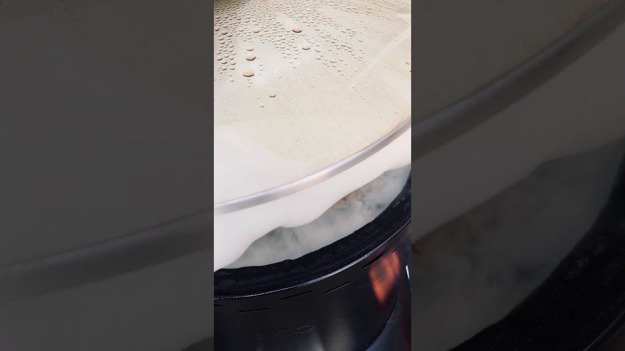 Nesco High Speed Roaster Grilling Beef short ribs. YouTube