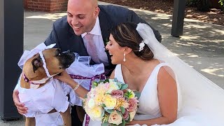 Dog Wearing Wedding Dress Upstages Rhode Island Bride