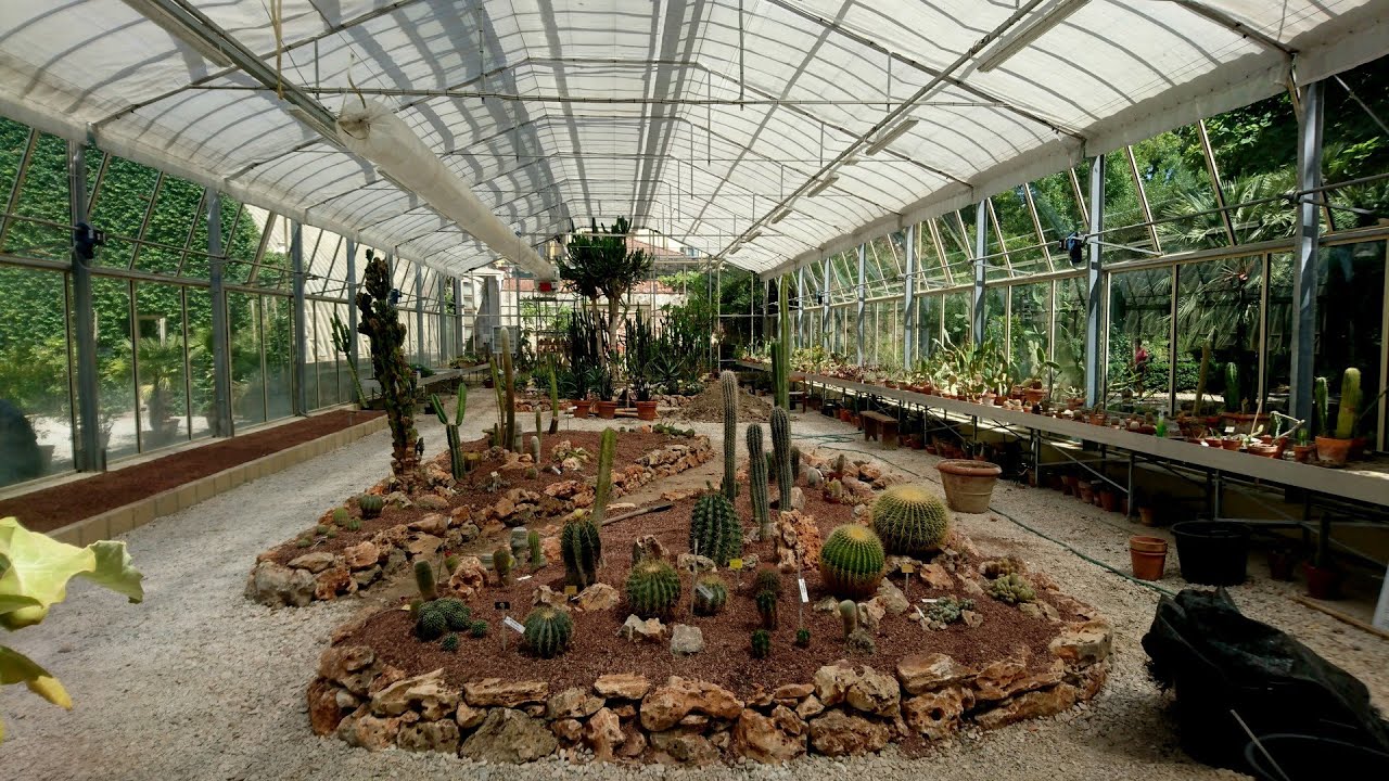 Orto e Museo Botanico di Pisa - Garden and Botanical Museum in Pisa ...