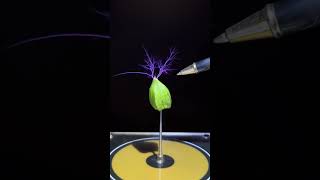 Tesla Coil Experiment #shortvideo #teslacoil #lightning #light #viralvideo #viral #science