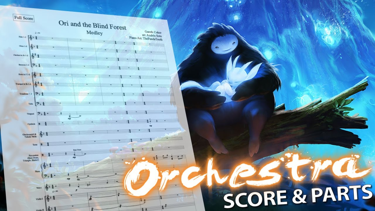 Ori and the blind forest карта полная