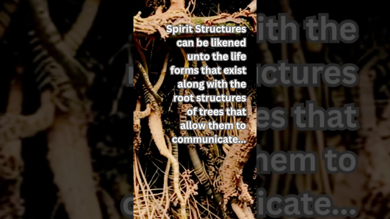 Spirit Structures Defined 