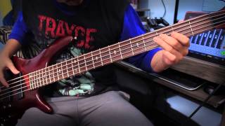 Red Hot Chili Peppers - Aeroplane (Bass Cover Tribute by Gustavo Amaro)