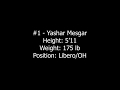 Yashar mesgar  1  volleyball highlights