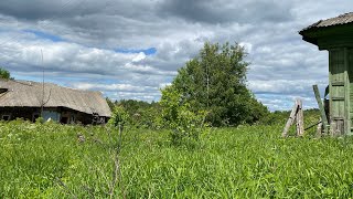 ВПЕЧАТЛИТЕЛЬНЫМ не смотреть! От увиденного мы поседели! Коп металлома / Металлокоп