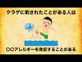 クラゲに関する意外と知らない雑学