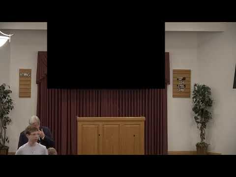 Video preview