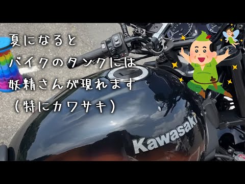 妖精の飛来 In summer, fairies appear on motorcycle tanks (especially